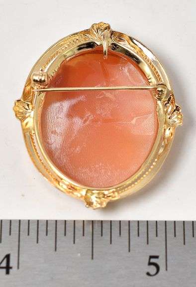 Stunning Cameo Pendant/Pin in 14K Yellow Gold