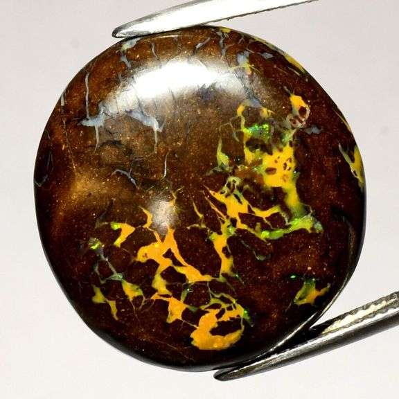 Huge! 32.34ct Queensland Boulder Opal