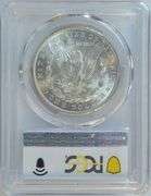 Creamy-white Gem BU 1902-O Morgan Silver Dollar. PCGS MS65