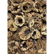 Lot of 3 Natural Cholla Wood Air Plant Holders