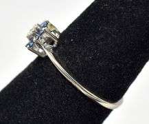 Lavish Diamond and Sapphire Ring in 10K White Gold