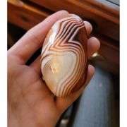 Polished Natural Agate Palm Stone