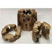 Lot of 3 Natural Cholla Wood Air Plant Holders