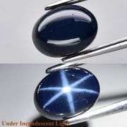 Stunning 2.31ct 8x6mm cobalt blue Star Sapphire