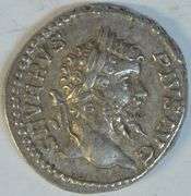 Near Mint Septimius Severus Roman Silver Denarius, 193-211