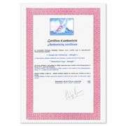 America's Cup - Alinghi by Spahn, Victor