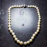 Elegant South Sea Pearl Necklace