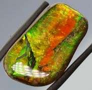 Bright 23.39ct dragonfly wing patterned Ammolite!