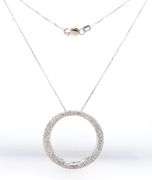 14kt White gold diamond circle pendant on chain