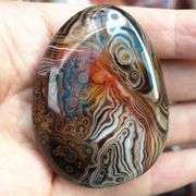 Polished Natural Agate Palm Stone