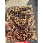 Alligator Skin Leather Wallet