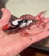 Handcrafted Blown Glass Koi Fish Japanese Carp