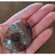 Polished Natural Agate Palm Stone