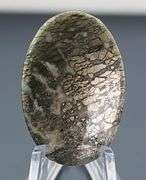 Awesome 39.63ct Nipomo Agate with Marcasite cabochon