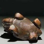 Solid Copper Dragon Turtle Prosperity Symbol