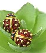 Delightful 18K Enamel Lady Bug Earrings