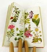 1934 The Herbalist by Joseph E. Meyer