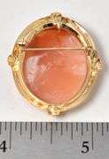Stunning Cameo Pendant/Pin in 14K Yellow Gold