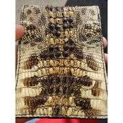 Alligator Skin Leather Wallet