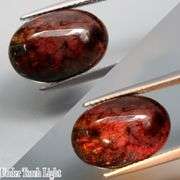 Elegant 4.97ct smoldering full cover Black Opal -It's Untreated!!!