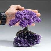 Genuine Amethyst Gemstone 7 Inch Handmade Tree