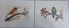 Collection of 2 original painting by Ping Zheng hand signed. Hummingbirds