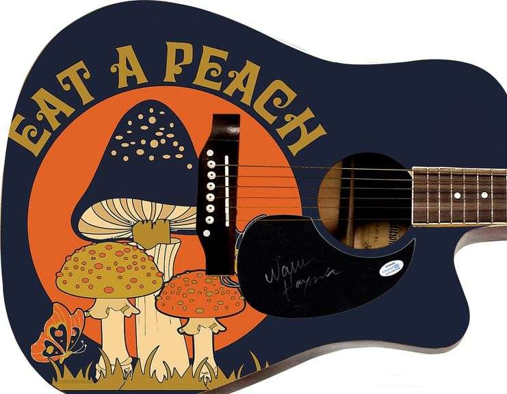 Warren Haynes Autographed Allman Brothers Custom 1/1 Graphics Guitar ACOA