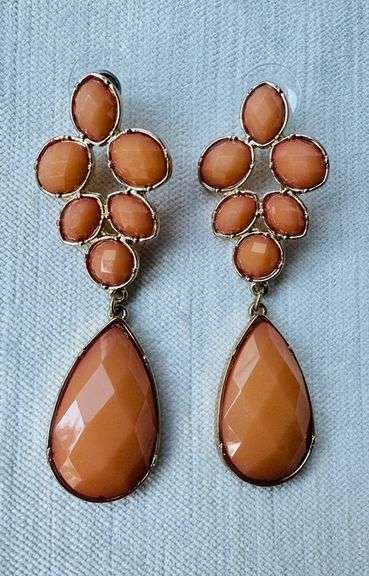 Stylish  Fashion  Design Earrings