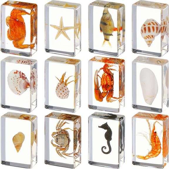 Lot of 12 Preserved Creatures