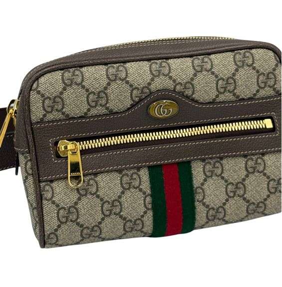 Gucci Ophidia Supreme Belt bag