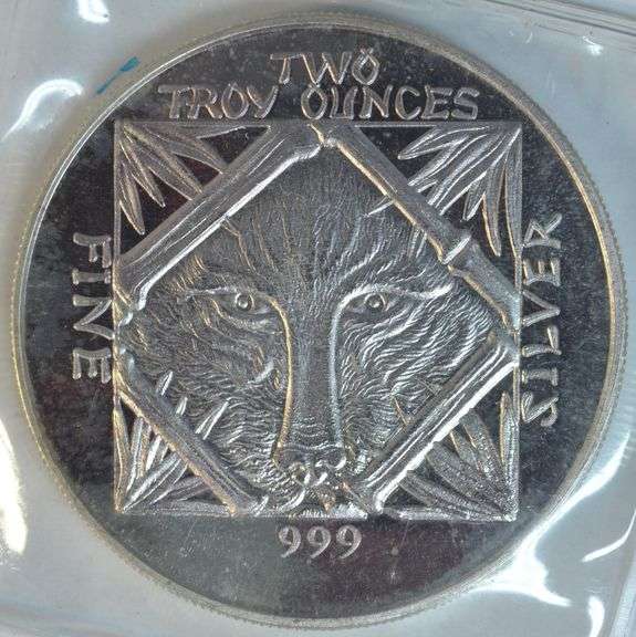 Special 2 Troy Oz .999 Fine Silver Panda in plastic
