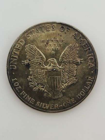 1990 1 Oz. American Silver Eagle, Toned