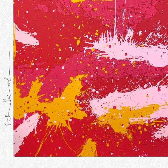 Camo Splash F by Mr Brainwash,