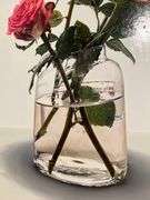 Photorealistic Elegant Modern Rose Still Life