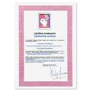 L'Avaleur de Sabres (The Sword Swallower) by Matisse