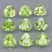 Fantastic 4.32ct 5x5mm trillion cut Peridot set