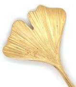 14kt Yellow gold feather style brooch