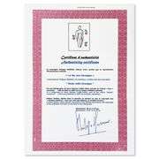 Le Nu aux oranges by Matisse