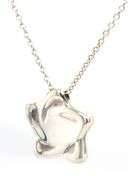 Tiffany & Co Elsa Peretti star pendant on chain