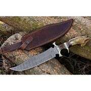Damascus Steel Hunting Knife Stag Antler Handle