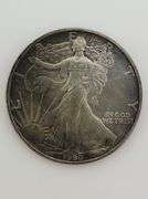 1990 1 Oz. American Silver Eagle, Toned