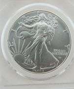 2024 (P) American Silver Eagle - Star Privy