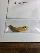 4.0 Gram Natural Gold Nuggets - Premium Quality
