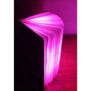 Embossed Elk Foldable Book Lamp