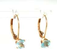 14kt Yellow gold blue topaz earrings
