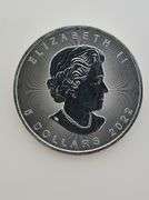 2022 Canadian $5 Silver Maple Leaf - Maple Leaf Privy Mark