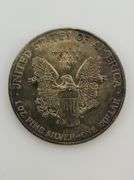 1990 1 Oz. American Silver Eagle, Toned