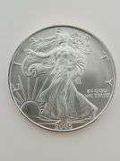 2005 American Silver Eagle