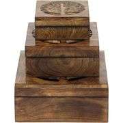 Set of 3 Handmade Wooden Boxes with Tree Carvings