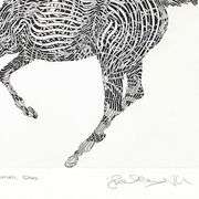 Shadow Dancer by Azoulay, Guillaume